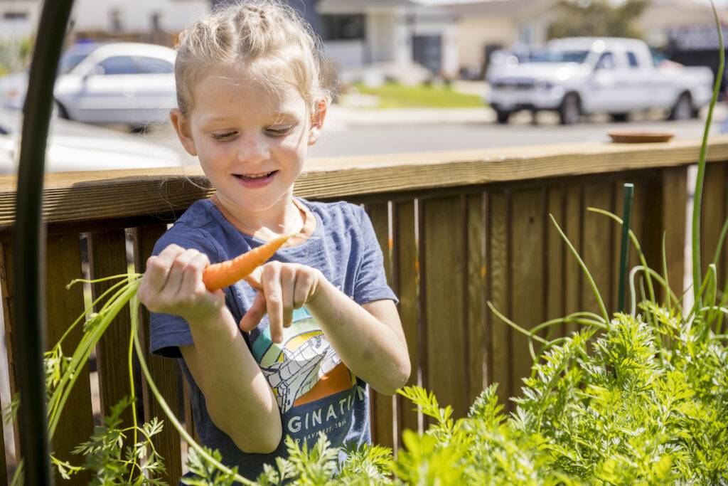 A child holding a carrot in a garden, gardening for self care.