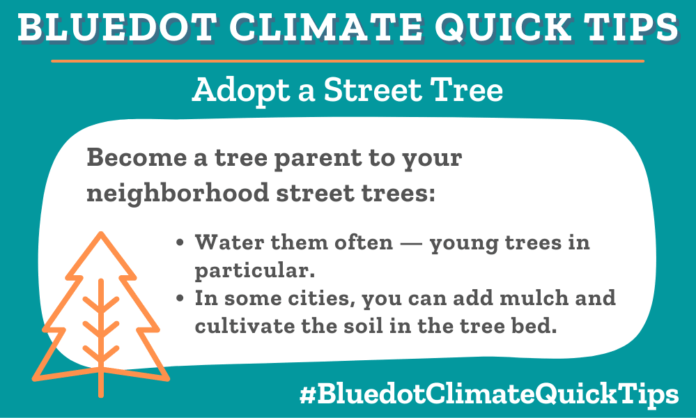 Climate Quick Tip: Become a tree parent to your neighborhood street trees: •Water them often — young trees in particular. •In some cities, you can add mulch and cultivate the soil in the tree bed.