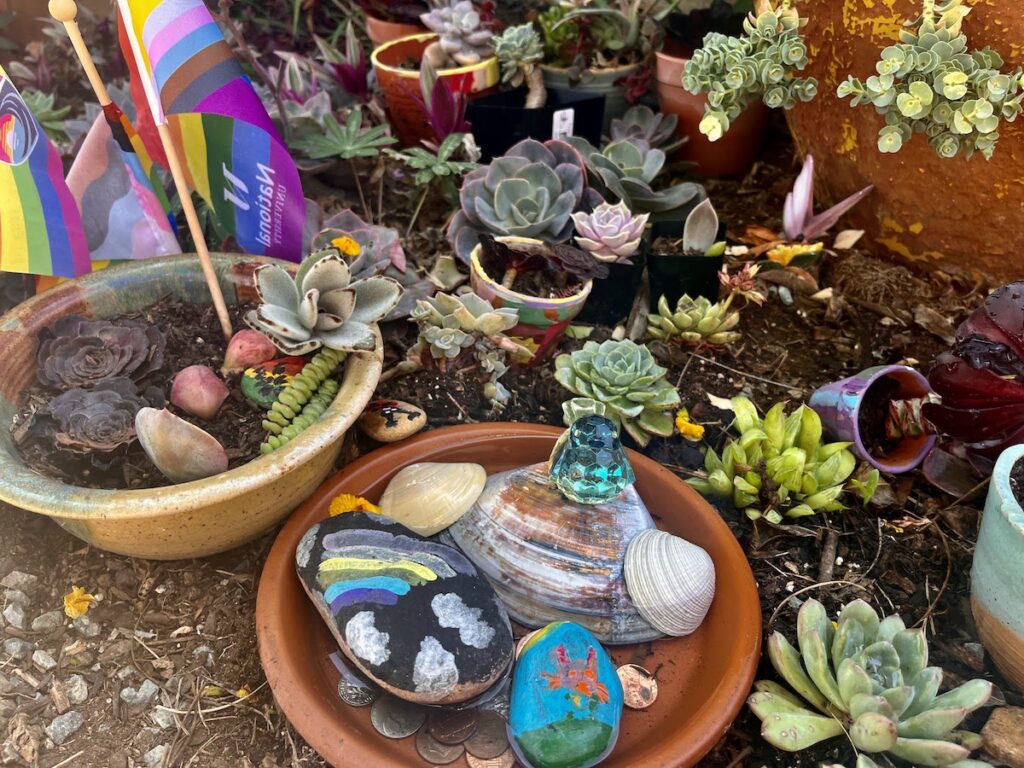 This combo succulent garden, fairy sanctuary, and water station is a magical place crafted by the writer’s daughter.