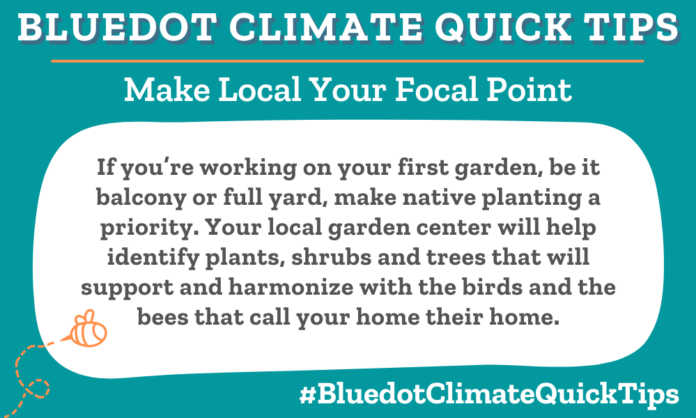 Climate Quick Tip: If you’re working on your first garden, be it balcony or full yard, make native planting a priority. Your local garden center will help identify plants, shrubs and trees that will support and harmonize with the birds and the bees that call your home their home.